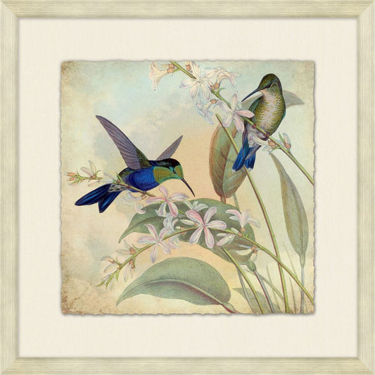 Hummingbird Garden 1