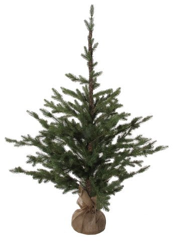 Fir Tree with Burlap Base