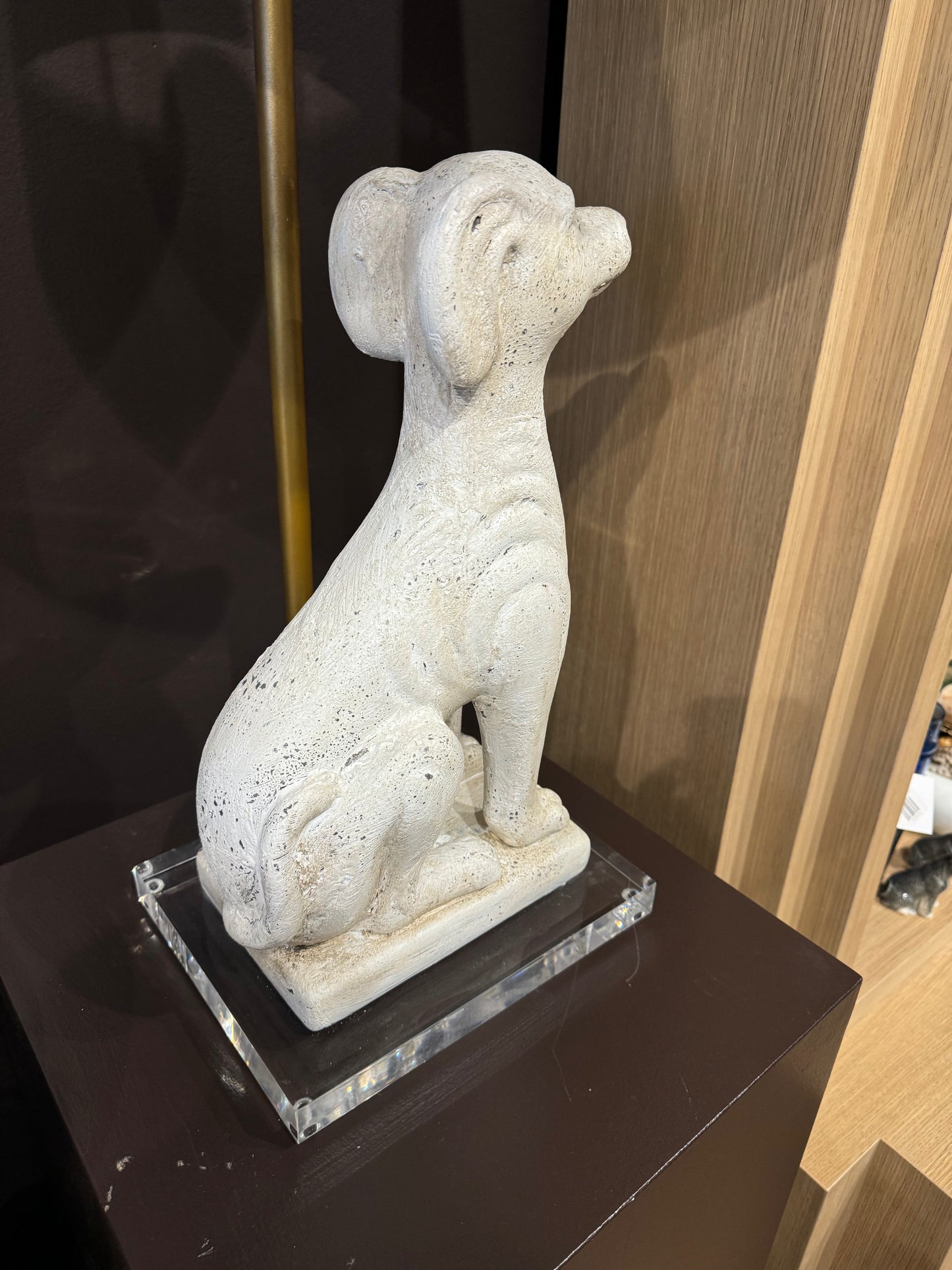 Stone Puppy Lamp on Acrylic Base