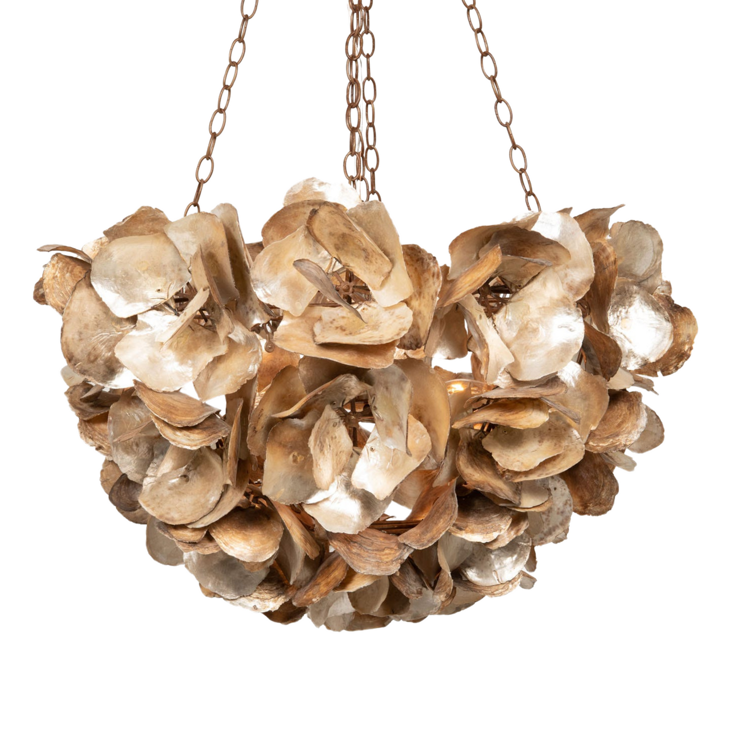 Flowering Oyster Shell Chandelier, Champagne Finish