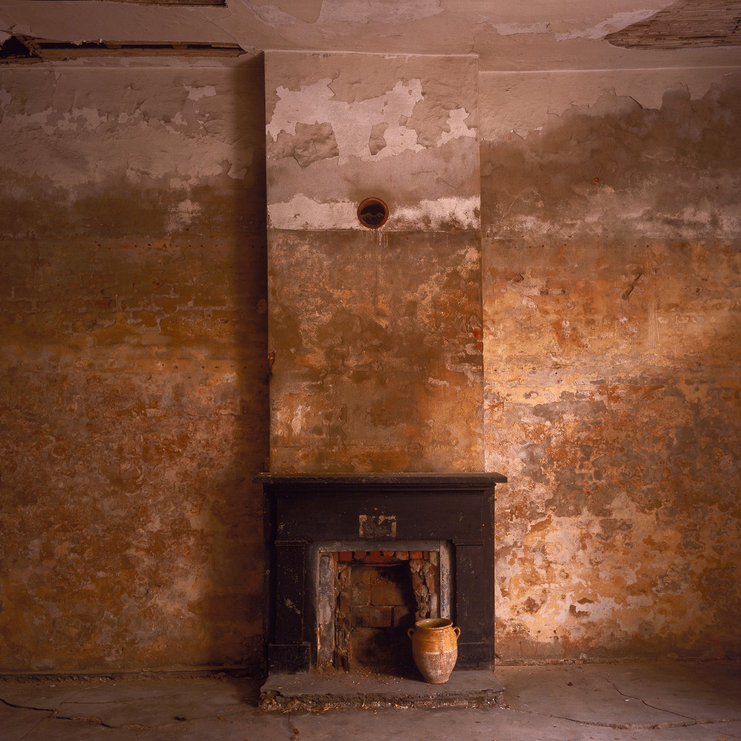 The Elegance of Decay, Edition #6
