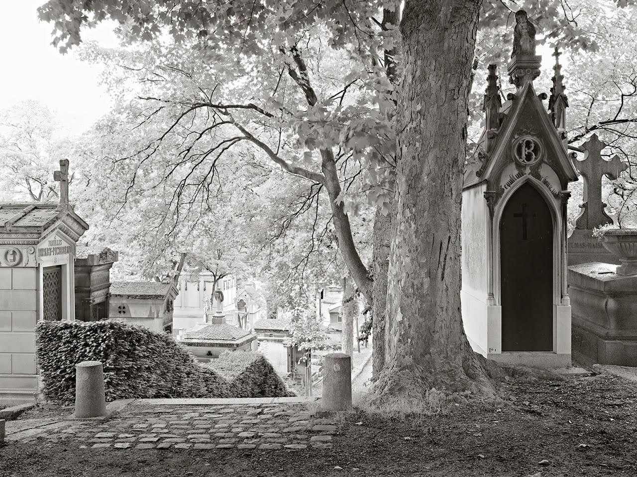 Pere Lachaise No.1 7/25