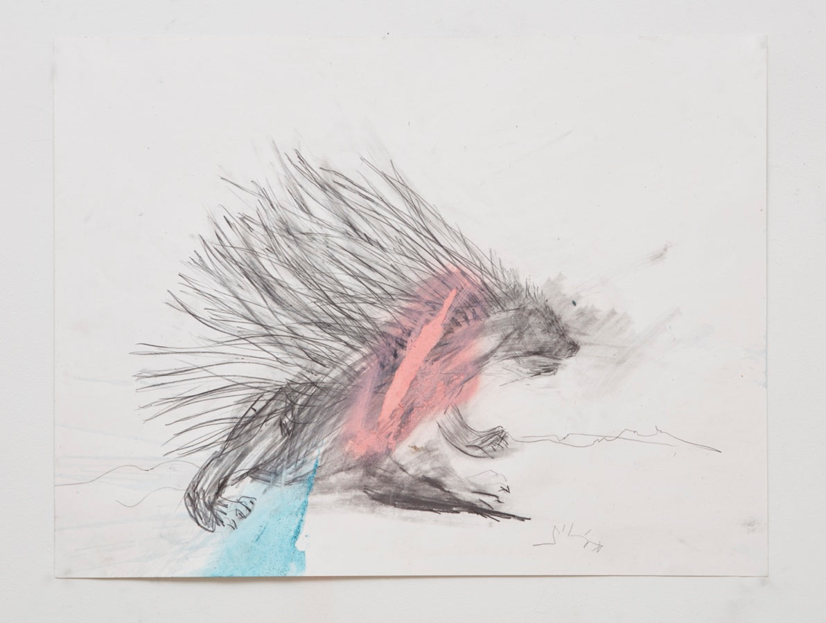 Powered Porcupine
