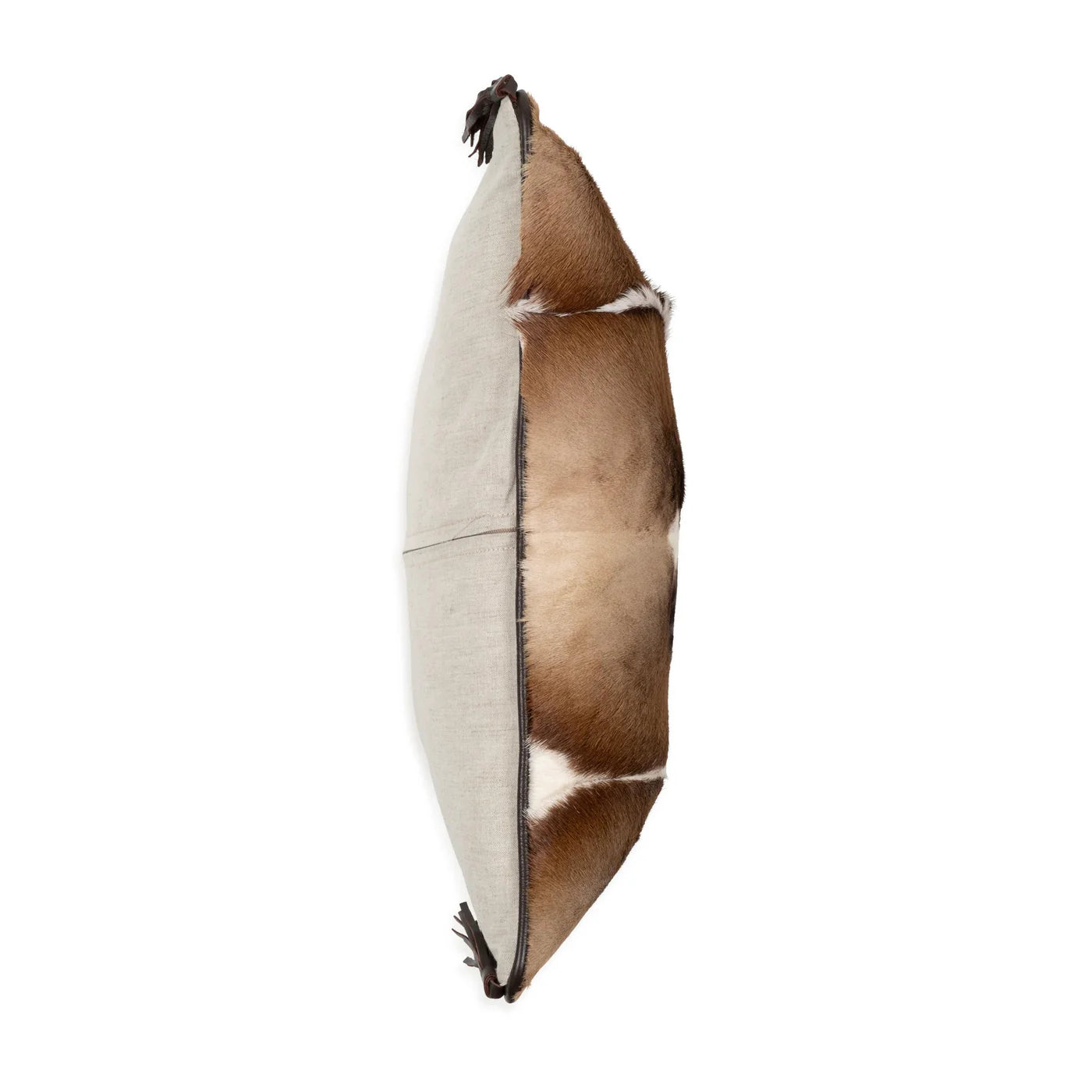 Springbok Hide Pillow with Leather Trims