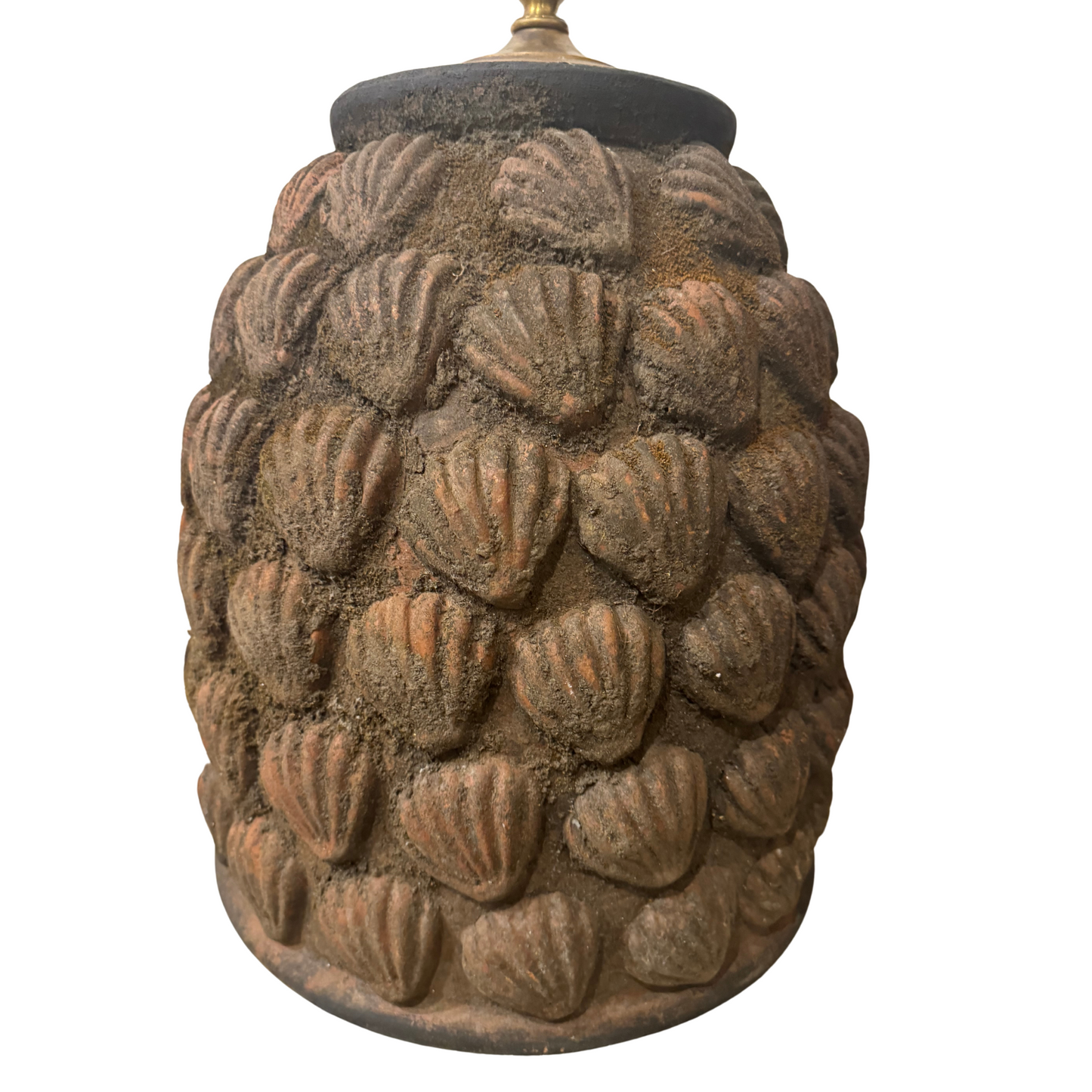 Weathered Shell Lamp