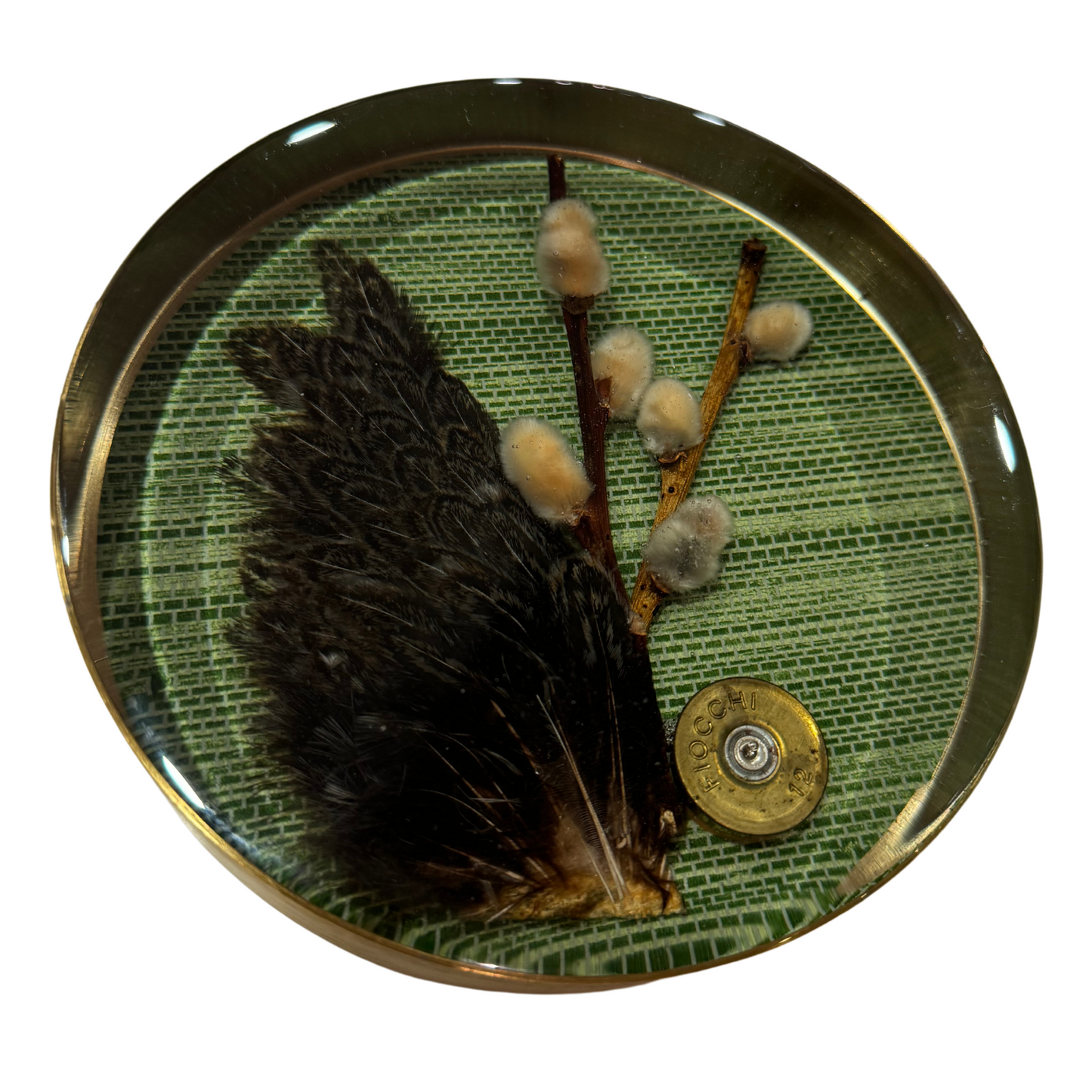 Nature Encased in Hand-Poured Resin with Brass Trim