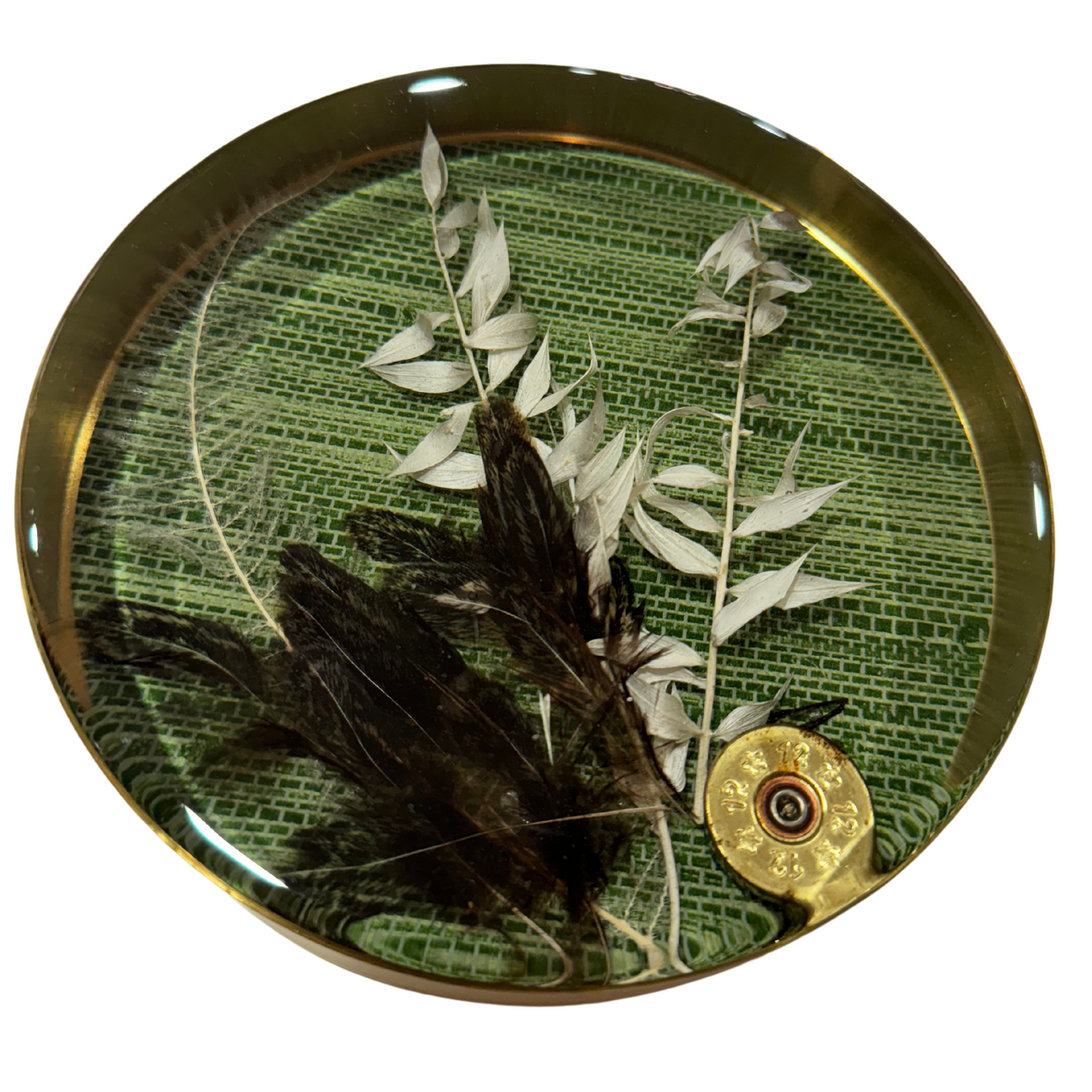 Nature Encased in Hand-Poured Resin with Brass Trim