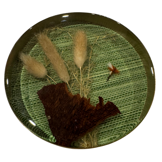 Nature Encased in Hand-Poured Resin with Brass Trim