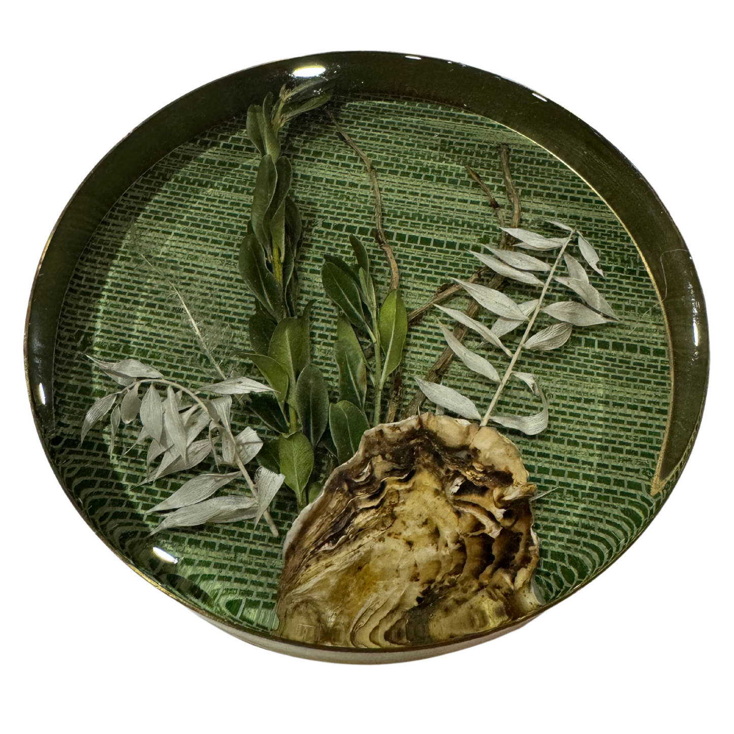 Nature Encased in Hand-Poured Resin with Brass Trim