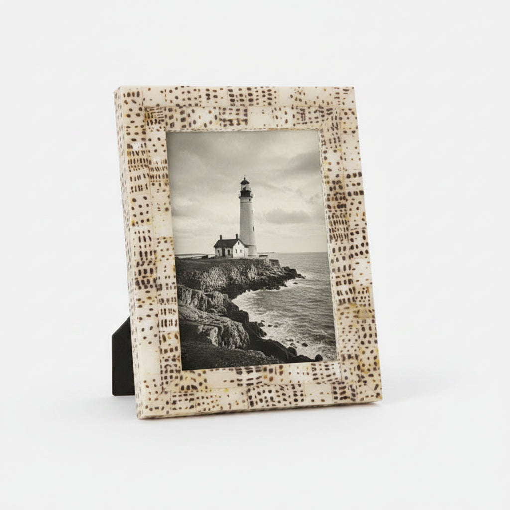 Tiger Cowrie Shell Frame, 5x7