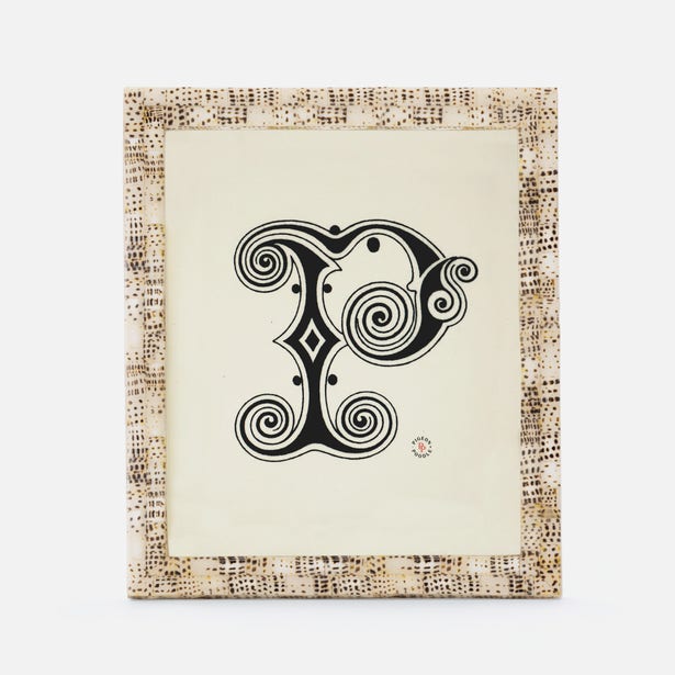 Tiger Cowrie Shell Frame, 8x10