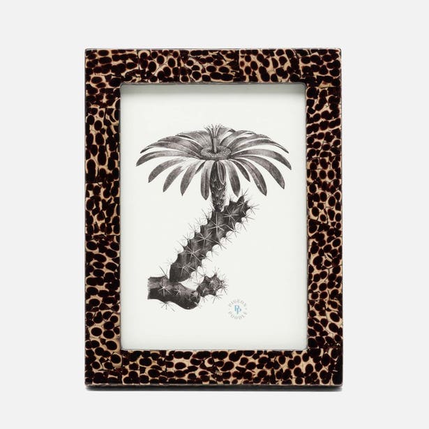 Bronze Lacquered Eggshell Frame, 5x7