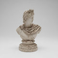 Classical Bust