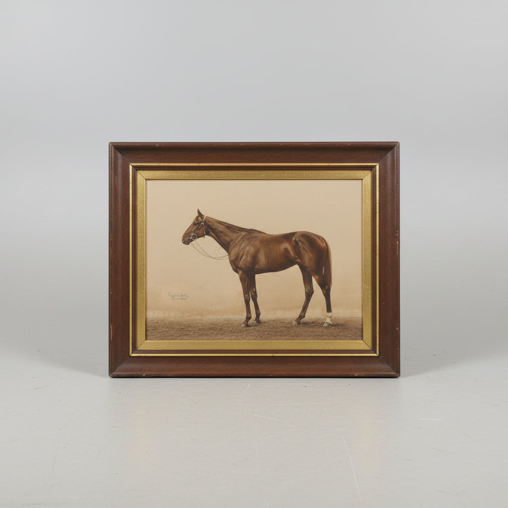 Framed Print of a Horse, 1920