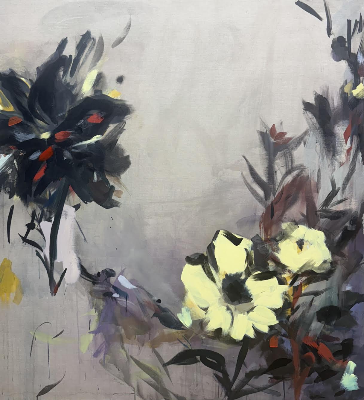 "Black and Red Lilly", 2026
