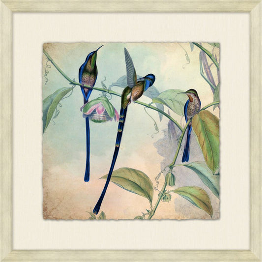 Hummingbird Garden 4