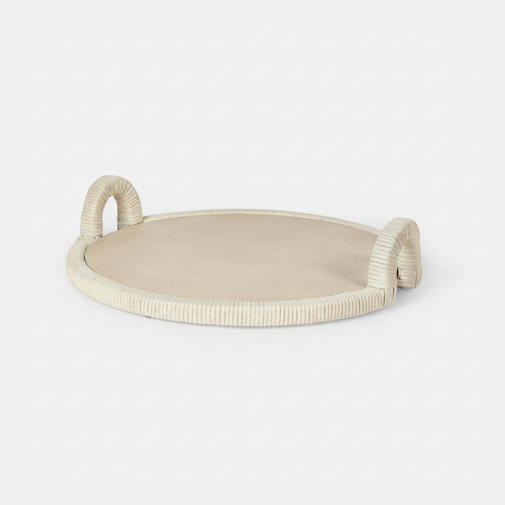 White Washed Rattan and Faux Shagreen Tray