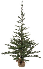 Fir Tree with Burlap Base