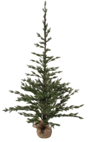 Fir Tree with Burlap Base