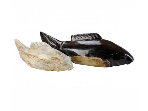 Petrified Wood Fish