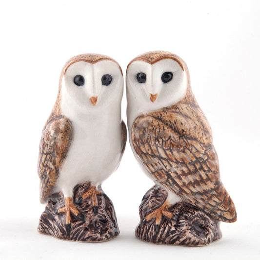 Barn Owl Salt and Pepper Shakers