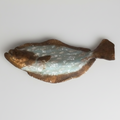 Flounder Wall Plaque