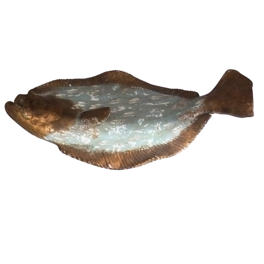 Flounder Wall Plate