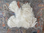Sheepskin Pillow with Tassels
