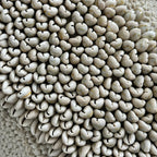 Cowrie Shell Pillow