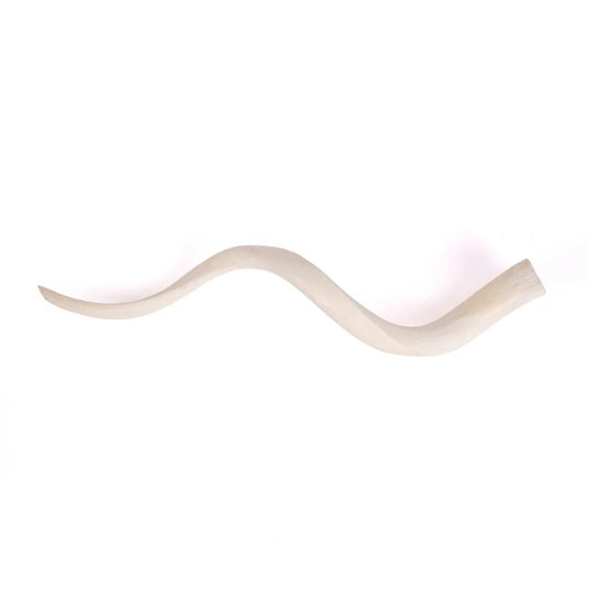 Kudu Inner Horn