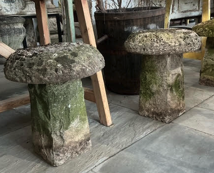 Pair of Stone Mushrooms