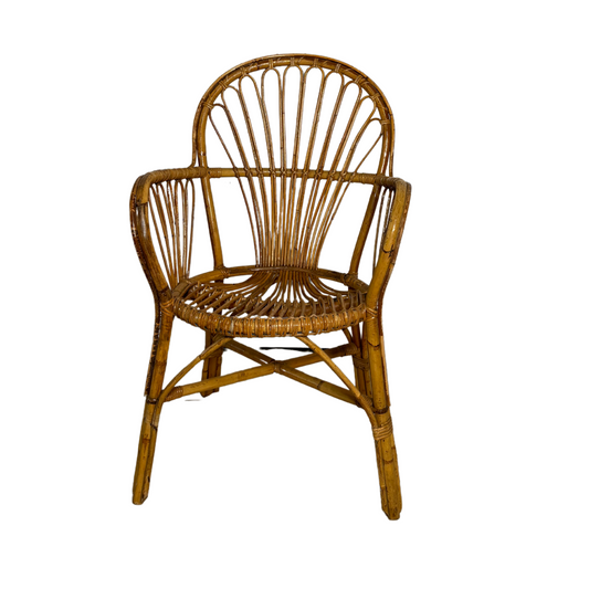 Wicker Arm Chair