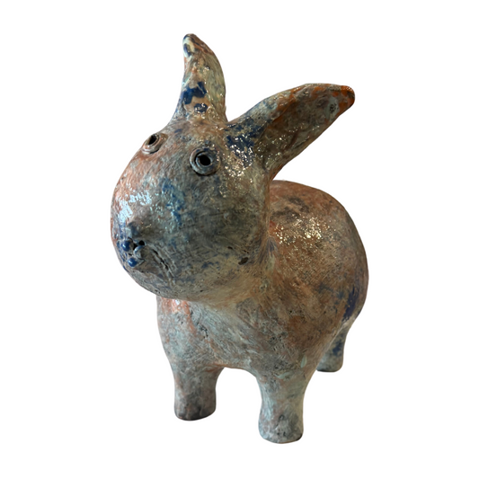 The Wondering Rabbit!