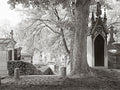 Pere Lachaise No.1 7/25