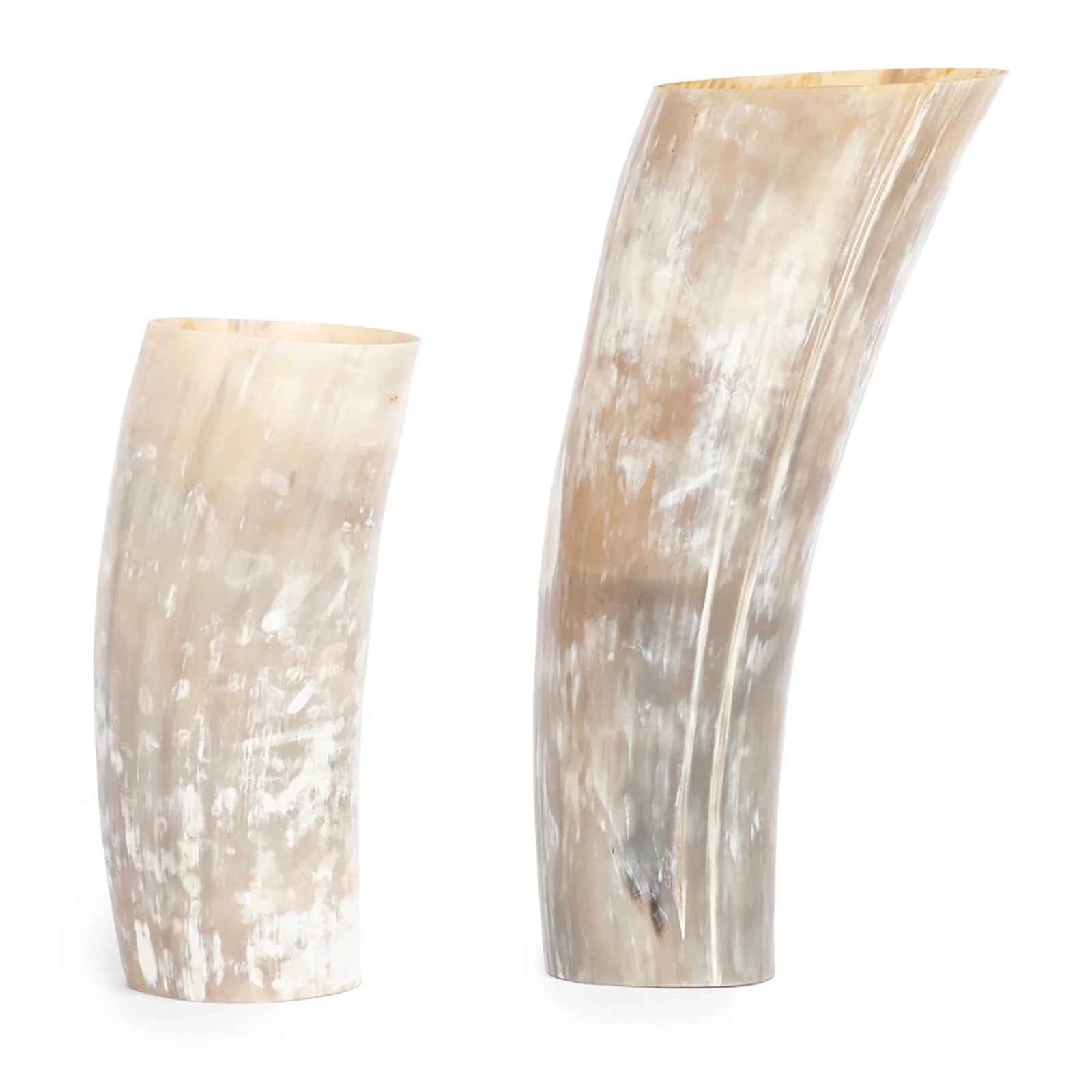 Cow Horn Vase