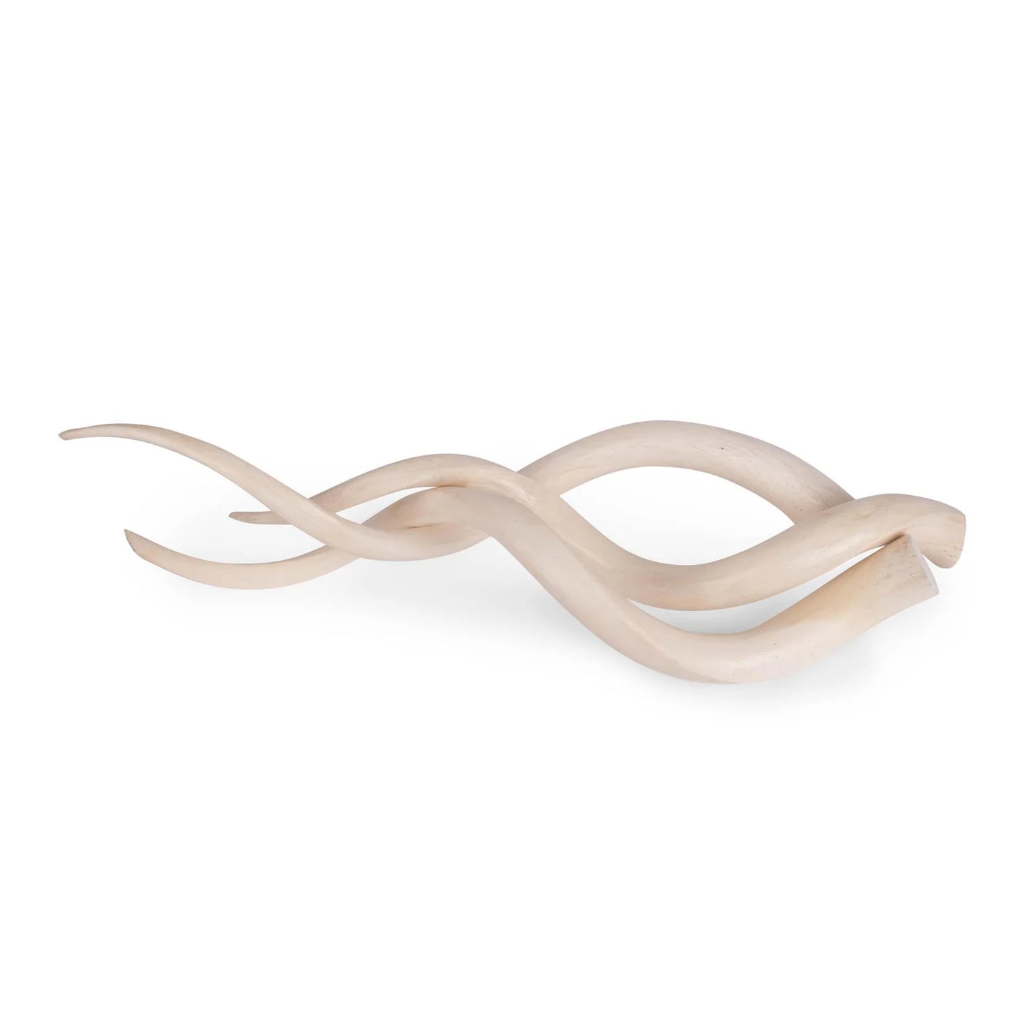 Kudu Inner Horn