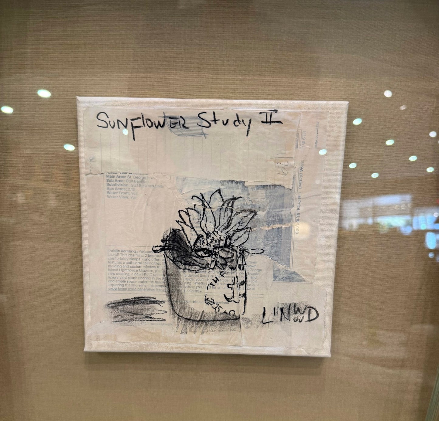 Sunflower Study