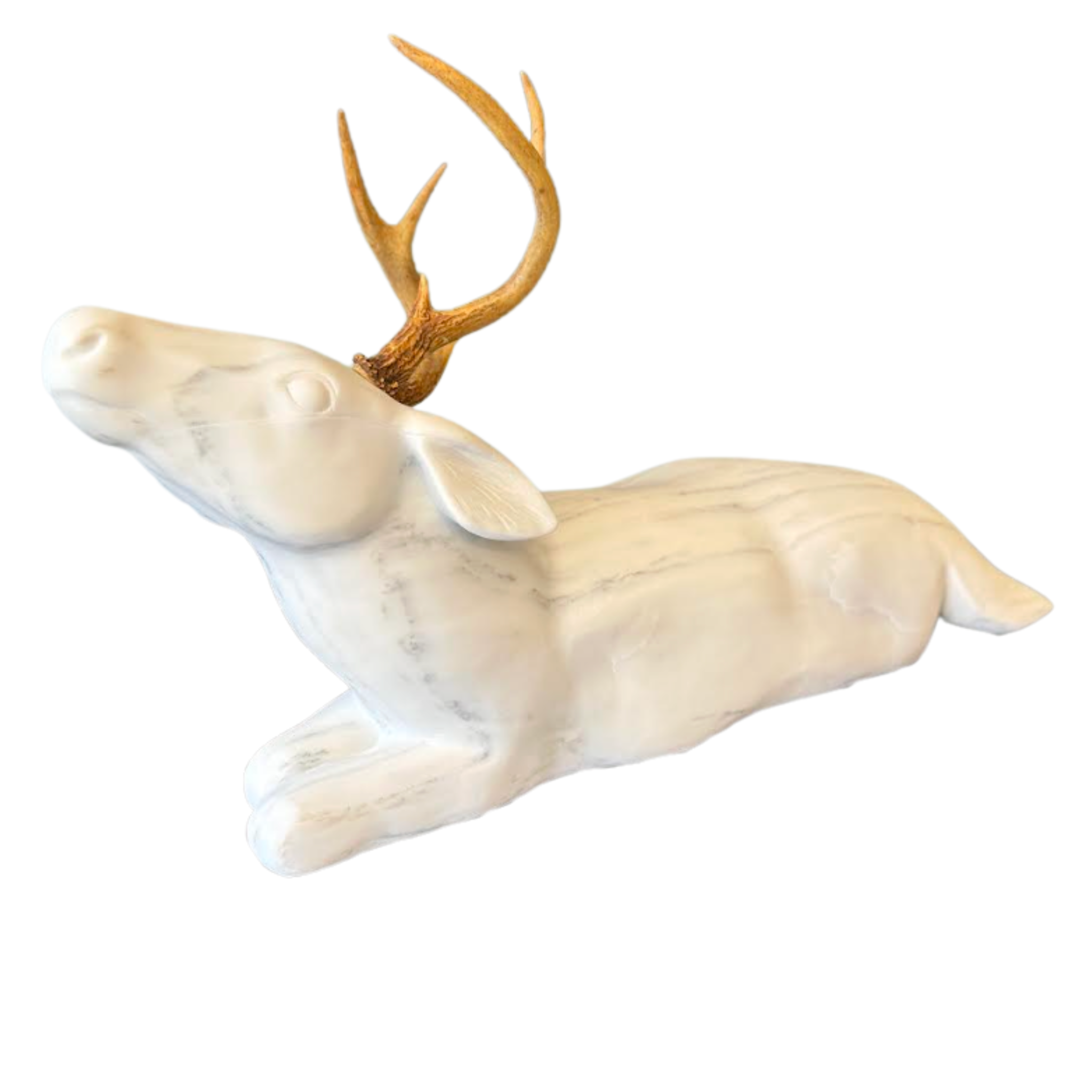 "Forest Deer"