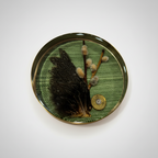 Nature Encased in Hand-Poured Resin with Brass Trim