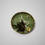 Nature Encased in Hand-Poured Resin with Brass Trim