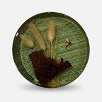 Nature Encased in Hand-Poured Resin with Brass Trim