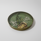 Nature Encased in Hand-Poured Resin with Brass Trim