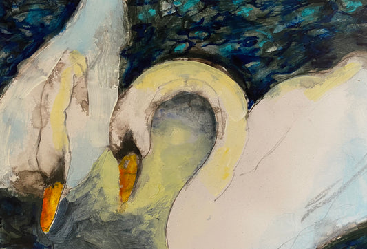 swans at avignon