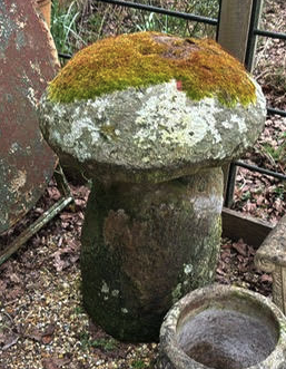 Stone Mushroom from the 1800's