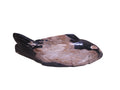 Petrified Wood Fish