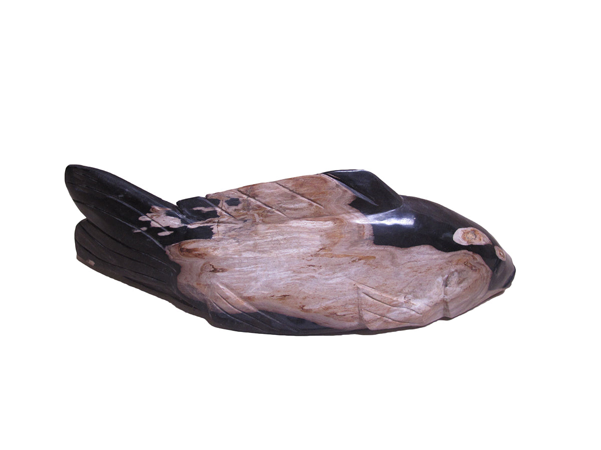 Petrified Wood Fish