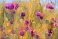 "Verbena" (Diptych), 2026